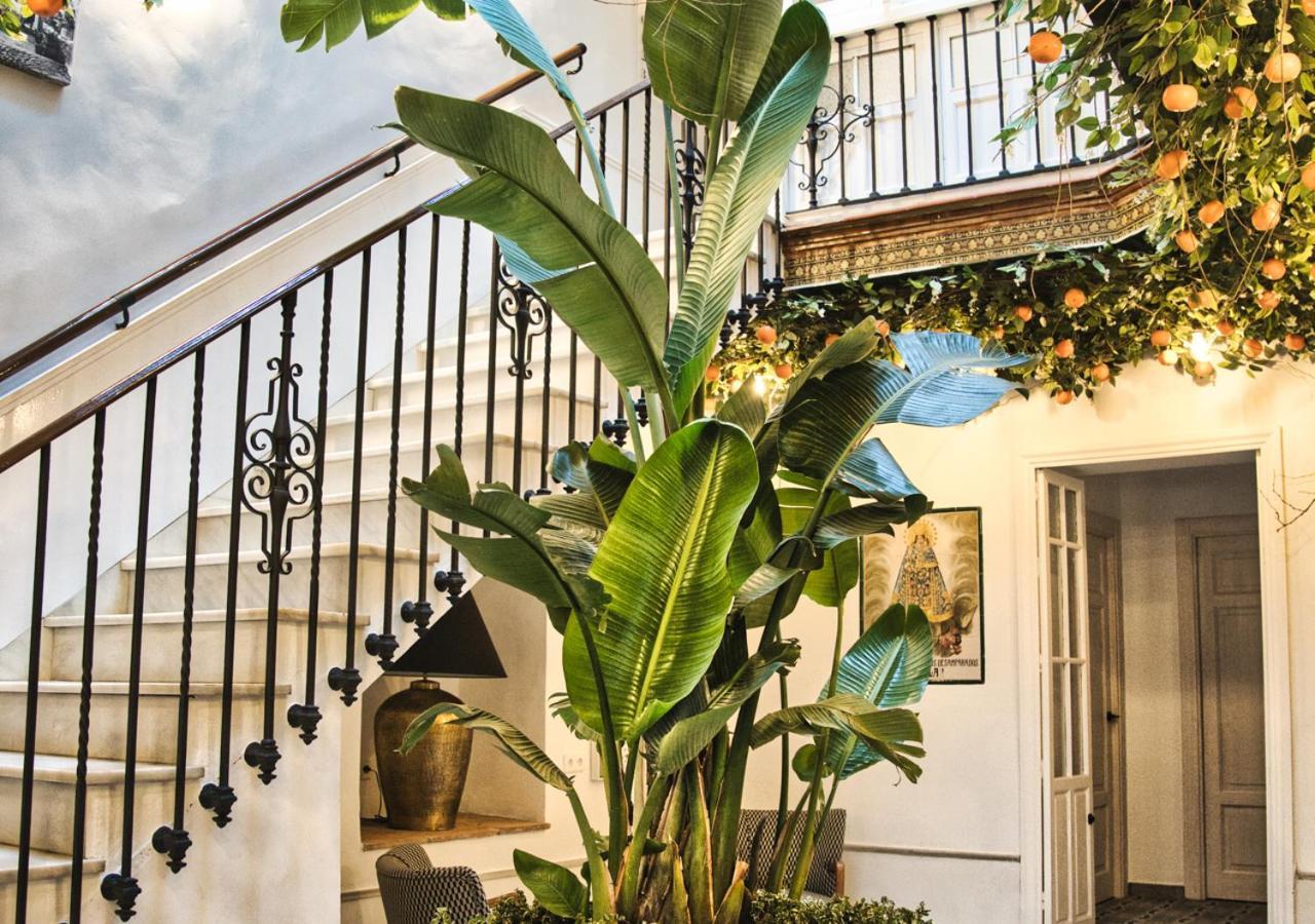Casa Rural Casa Levante Arcos de la Frontera Bagian luar foto